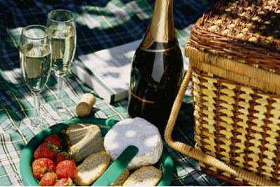 romantic-picnic-beverly-hills[1]