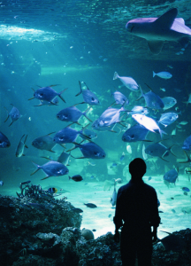 screen-shot-2016-11-28-at-10-21-11-pm